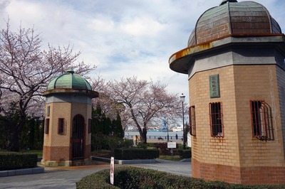 DSC02411a.jpg
