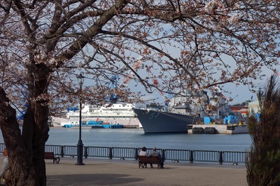 DSC02416a.jpg