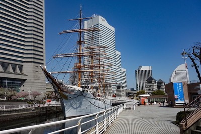 DSC02558a.jpg
