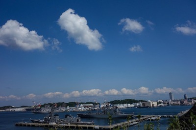 DSC02666a.jpg
