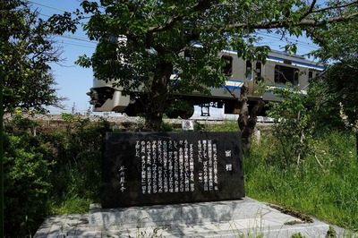 DSC02763a.jpg