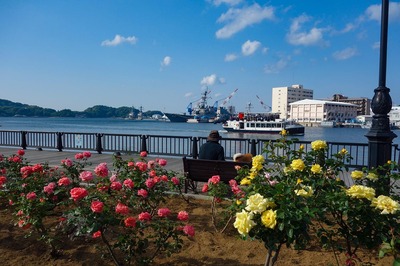 DSC02809a.jpg