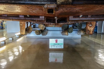 DSC03055a.jpg