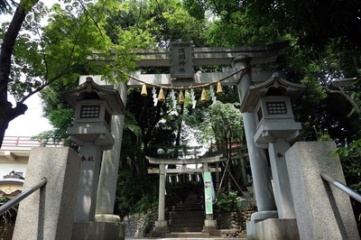 DSC05440a.jpg