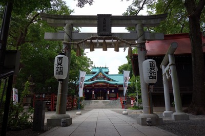 DSC05441a.jpg