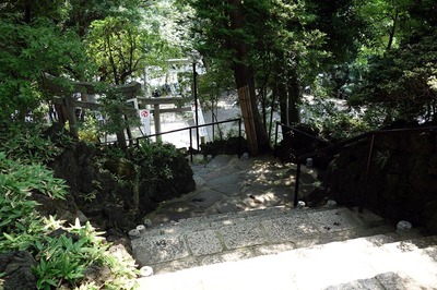 DSC05457a.jpg
