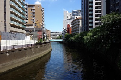 DSC05581a.jpg