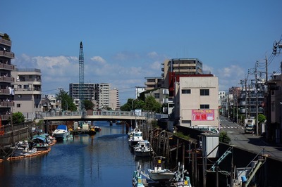 DSC05650a.jpg