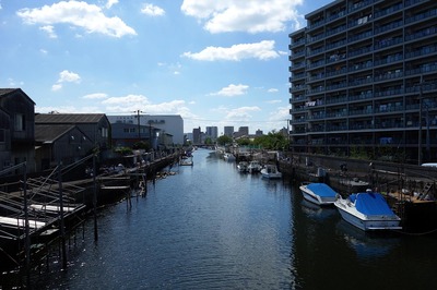 DSC05668a.jpg
