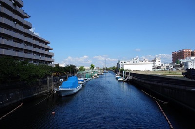 DSC05669a.jpg