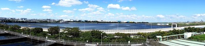 DSC05694a.jpg