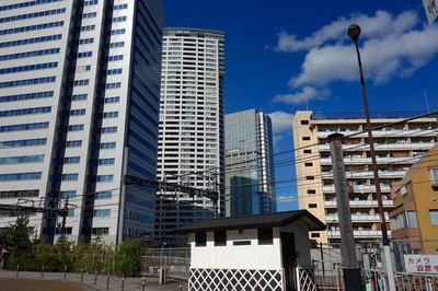 DSC05711a.jpg