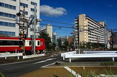 DSC05730a.jpg