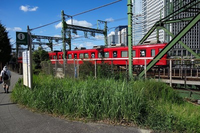 DSC05739a.jpg