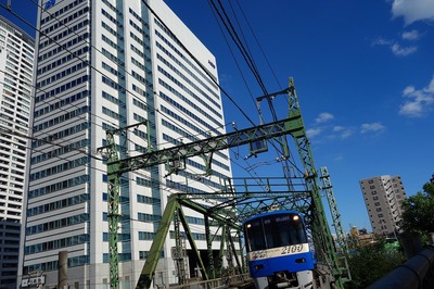 DSC05744a.jpg