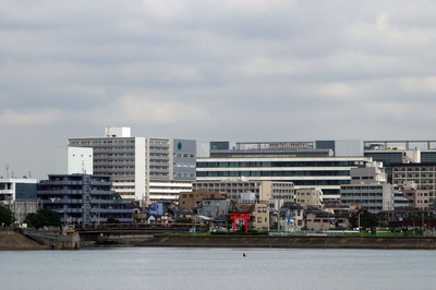 DSC05798a.jpg