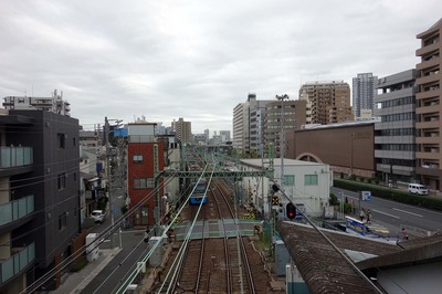 DSC06736a.jpg