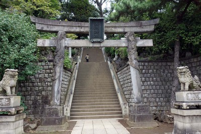 DSC06810a.jpg