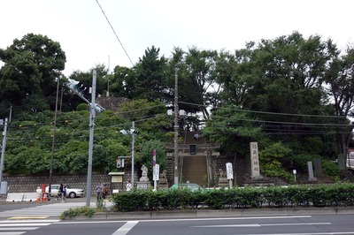 DSC06877a.jpg
