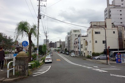 DSC06934a.jpg