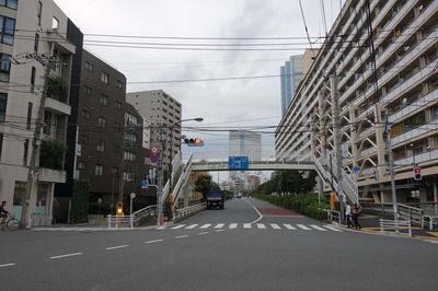 DSC06939a.jpg