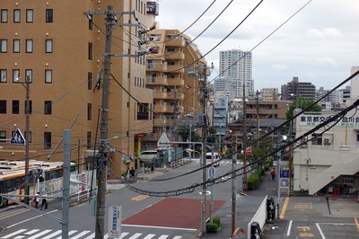 DSC06957a.jpg