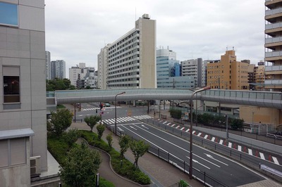 DSC07006a.jpg