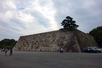 DSC07236a.jpg