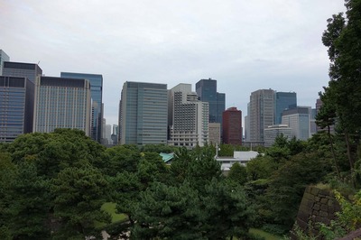 DSC07286a.jpg