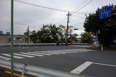 DSC07362a.jpg