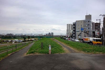 DSC07416a.jpg