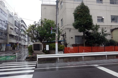 DSC07484a.jpg