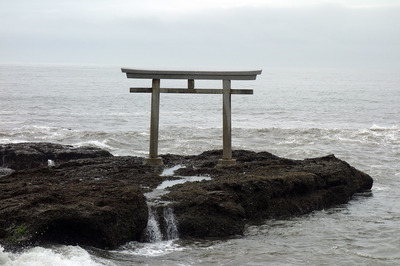 DSC07525a.jpg
