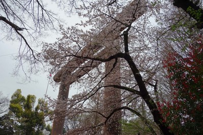 DSC09012a.jpg