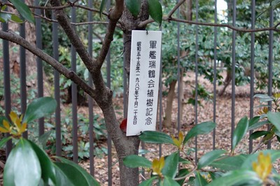 DSC09019a.jpg