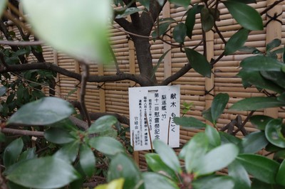 DSC09023a.jpg