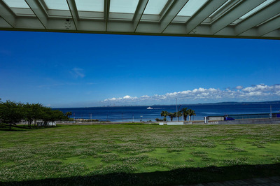DSC09562a.jpg