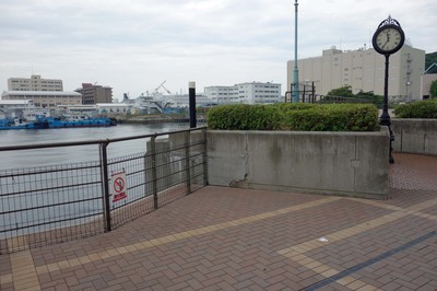 DSC09911a.jpg