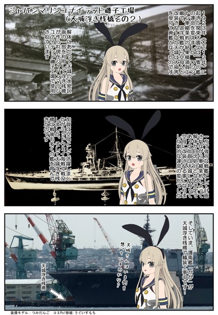 天城浮き桟橋2_001.jpg