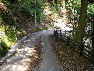 IMGP5698a.jpg