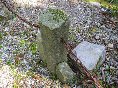 IMGP5699a.jpg