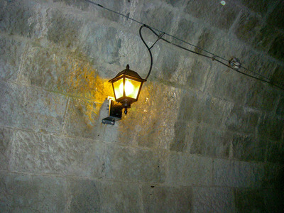 IMGP5723a.jpg