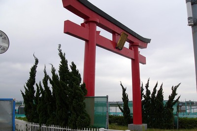 P1050574a.jpg
