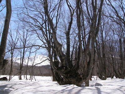 P1150073.JPG
