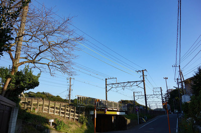 aDSC07773.jpg